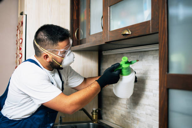Best Wildlife Control Services  in Clintondale, NY