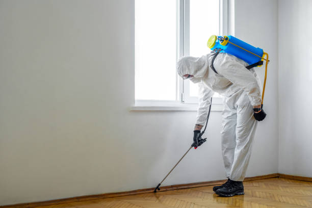 Professional Pest Control in Clintondale, NY