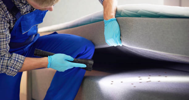 Best Ant Control Services  in Clintondale, NY