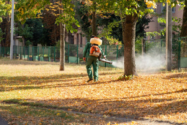 Best Residential Pest Control  in Clintondale, NY