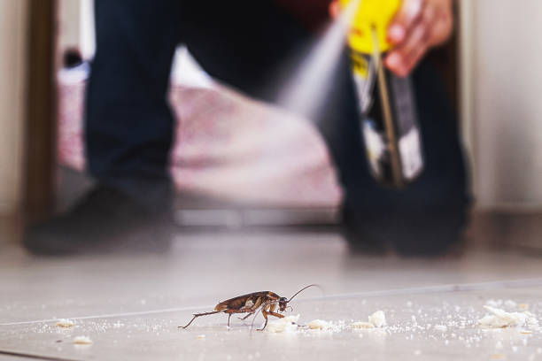 Best Residential Pest Control  in Clintondale, NY