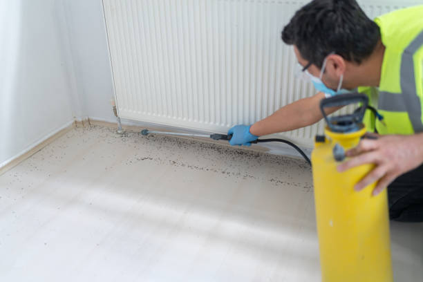 Best Exterminator Services  in Clintondale, NY