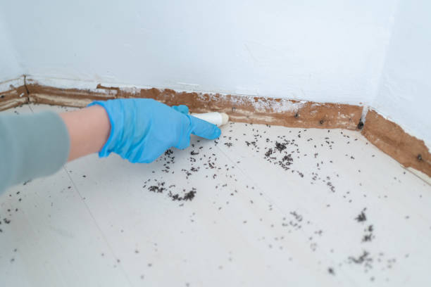 Best Commercial Pest Control Services  in Clintondale, NY